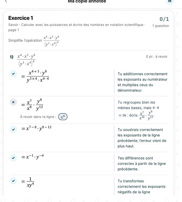 La copie annotée : la ligne à revoir et une explication pour chaque ligne.