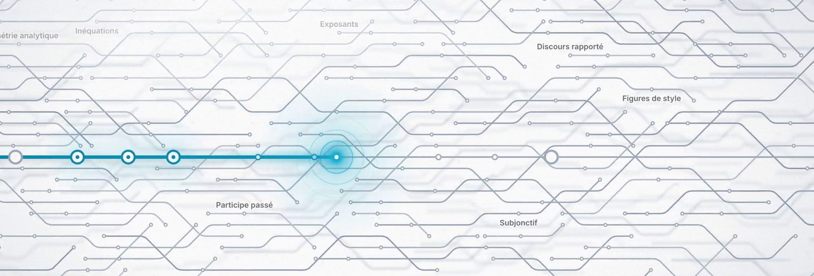 Un réseau de lignes et de stations : participe passé, figures de style, inéquations, probabilités…